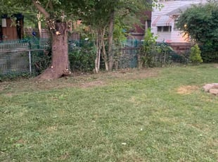 Cleanups by Edgar Hernandez for Megan M. in Columbus, OH
