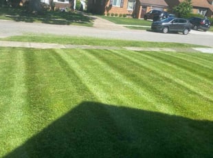 Michael H.'s Lawn Mowing service result