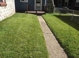 Spencer B.'s Lawn Mowing service result