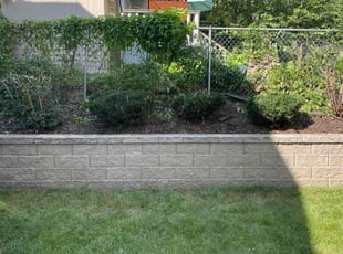 Bush Trimming by Samwel Moseti for John C. in Minneapolis, MN