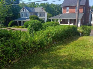 Bush Trimming by Cristian Giron for Sharia S. in Sellersville, PA
