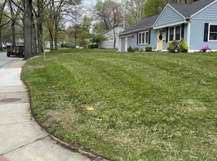 Lance M.'s Grass Cutting service result