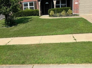 Vanessa M.'s Lawn Service service result