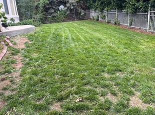 Weeding by Diego Arango for Marisa A. in Aurora, CO