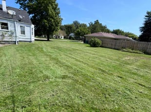 Joseph M.'s Lawn Mowing service result