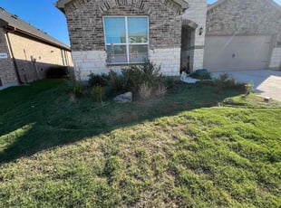 Weeding by Quentin Morgan for Kendrick M. in Northlake, TX