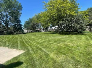 Toni E.'s Lawn Service service result