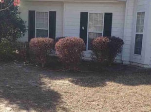Bush Trimming by Chris Towery for Daijai W. in Lawrenceville, GA