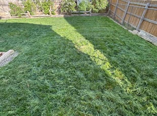 Rhonda S.'s Yard Cutting service result
