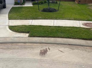 Nick A.'s Lawn Maintenance service result