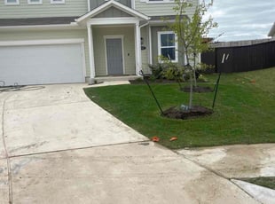 Elisa T.'s Lawn Care service result