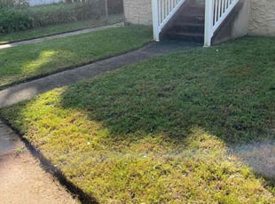 Jake N.'s Lawn Mowing service result