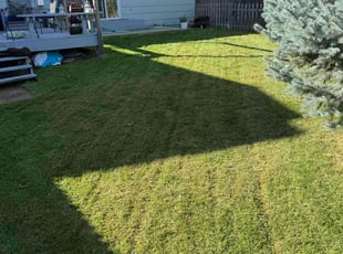 Ray S.'s Lawn Mowing service result