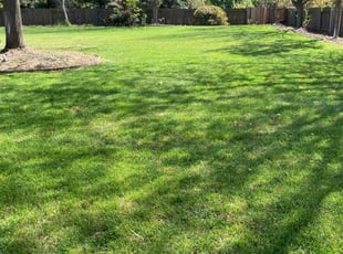 Jennifer A.'s Grass Cutting service result