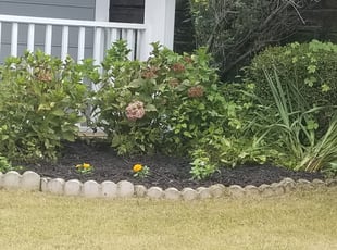 Landscaping by Steve Burgess for Tiffany N. in Duluth, GA