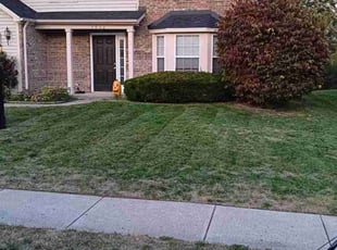 Virginia E.'s Lawn Care service result