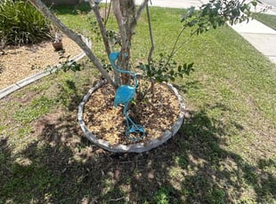Weeding by Mark Leon for Michelle B. in Clermont, FL