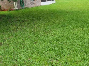Vijay G.'s Lawn Mowing service result