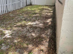 Leaf Removal by Charles Walton for Flo S. in Boynton Beach, FL