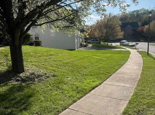 Katie W.'s Yard Cutting service result
