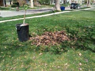 Leaf Removal by Jesse Chavez for Jared C. in Salt Lake City, UT