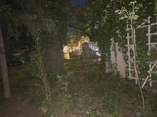 Cleanups by Dennis Greene for Vassie W. in Richmond, VA
