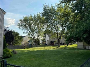 Victoria A.'s Lawn Mowing service result