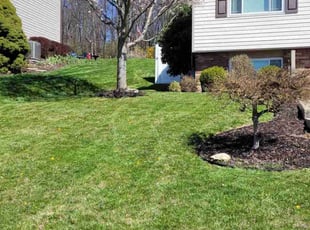 Joseph C.'s Lawn Service service result