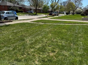 Leaf Removal by Japheus Sanders for Joe B. in Oak Park, MI