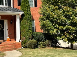 Bush Trimming by Elvis Pasic for Des W. in Lawrenceville, GA
