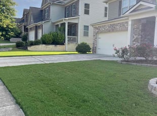 Ian C.'s Lawn Maintenance service result