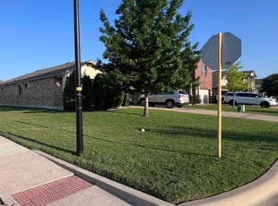 Douglas D.'s Lawn Service service result