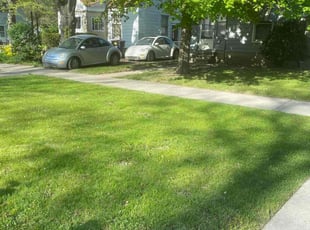 Martha C.'s Lawn Mowing service result