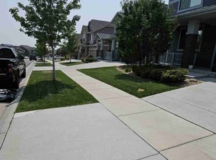 Stephenie B.'s Lawn Mowing service result