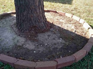 Cleanups by Daiby Alvarez for seline m. in Spring, TX
