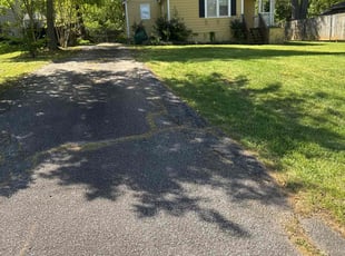 Aretina S.'s Lawn Mowing service result