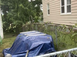 Matt H.'s Cleanups service result