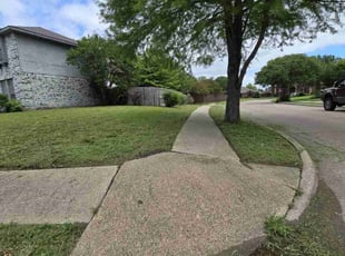 Nikita R.'s Lawn Care service result