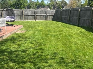 Courtney T.'s Lawn Service service result