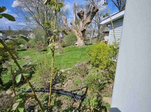 Melissa R.'s Lawn Care service result