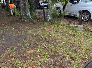 Walter V.'s Leaf Removal service result