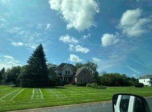 Michael W.'s Lawn Care service result