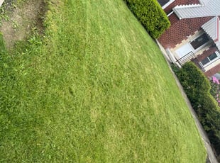 Van B.'s Lawn Mowing service result