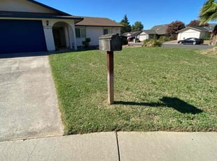 Diana P.'s Lawn Maintenance service result