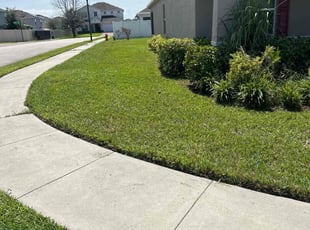 Clara H.'s Lawn Mowing service result