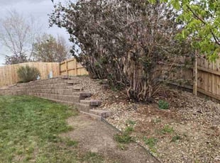 Bush Trimming by Jeremiah Stenger for Cassandra S. in Parker, CO