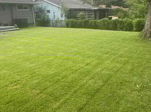 George L.'s Lawn Mowing service result
