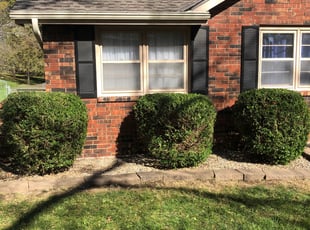 Bush Trimming by Ryan Black for Ellen B. in Weatherby Lake, MO
