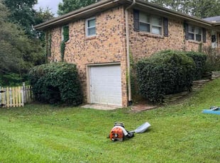 Jonathan R.'s Bush Trimming service result