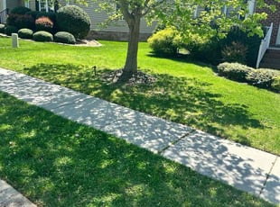 Rochelle F.'s Lawn Maintenance service result